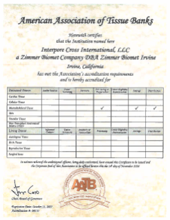 pdf preview thumbnail